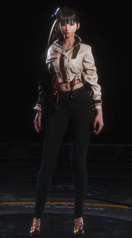 Wasteland Explorer front