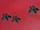 Star Trek New Civilisations/Empires/Terran Empire