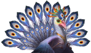 Peacock Avian #18