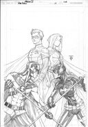 Red Robin 10 cover rough