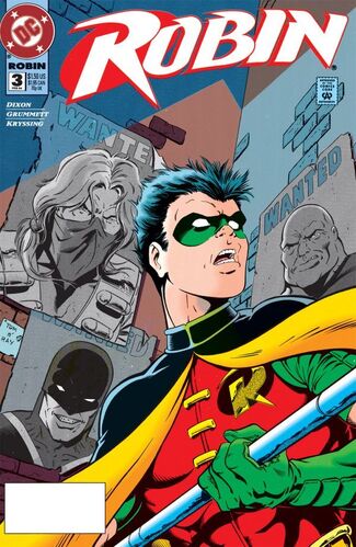Robin 3 cover