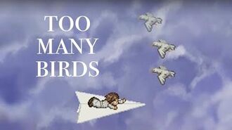 Too_Many_Birds!