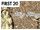 Aviary Attorney - First20