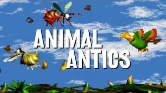 Animal_Antics