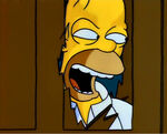Homer shiningspoof.jpg