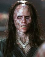 19973205.jpg (54 KB)