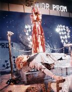 IMG 0814.jpg (157 KB)