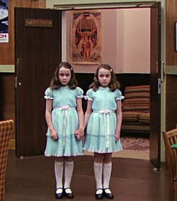 the shining stephen king twins