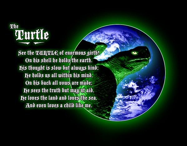 черепаха матурин