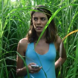 In The Tall Grass Film Stephen King Wiki Fandom