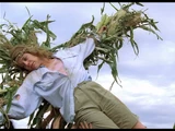 Children of the Corn (1984 Film)