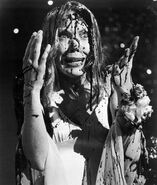 IMG 0819.jpg (42 KB)