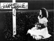 IMG 0840.jpg (40 KB)