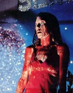 IMG 0800.jpg (80 KB)