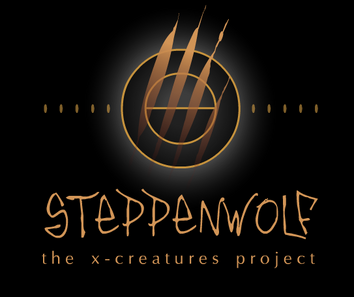 Steppenwolf Title