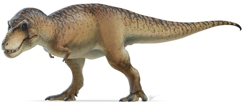 FTDM-TREX