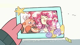 Maximum Capacity 370