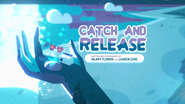 Catch and Release 000