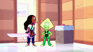 The New Crystal Gems 044