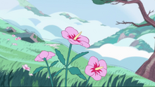 Steven's Dream 001.png