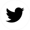 TwitterIcon