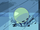 Flask Robonoids/Gallery