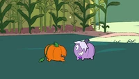 Pumpkin bonding with Amethyst