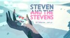 Steven And The Stevens.jpg
