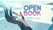 Open Book 000