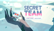 Secret Team 000