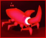 Red Beetle.jpg