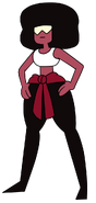 Training outfit in "Garnet's Universe"