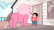 Steven's Lion (123)