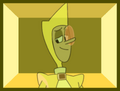 Yellow Zircon navbox.png