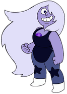 Amethyst's color palette outside of the Communication Hub