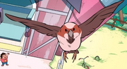 Ya boi susan.png