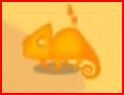 Orange Chameleon.jpg