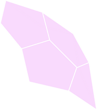 Pink Steven Shield