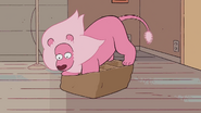 Lion Loves to Fit in a Box 011