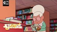 Buddwick Public Library Steven Universe Cartoon Network