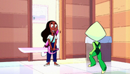 The New Crystal Gems 043