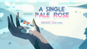 A Single Pale Rose 000-0