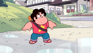 Steven and the Stevens 071