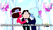 Steven officiating wedding
