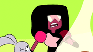 Garnet's Universe00173