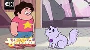 Steven's Cat Finger Steven Universe Cartoon Network