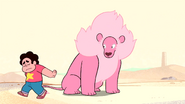 Steven's Lion (103)