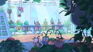 Inside Greenhouse BG.jpg (366 KB)