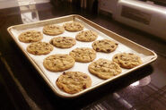 Baked cookies by Steven Sugar & Christy Cohen.