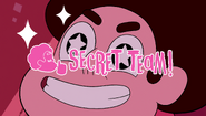 Secret Team 108